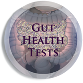 Gut Health Tests